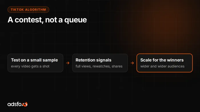 Cover image: How the TikTok Algorithm Works and What to Do About It
